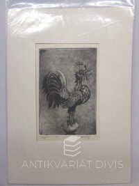 Vašáková, Dagmar, Kohout černý, 0