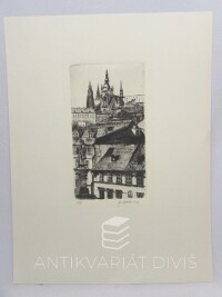 Vašáková, Dagmar, Pohled na Pražský hrad, 0