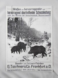 kolektiv, autorů, Gewehr- und Patronen-Fabriken G. Teschner & Co.: Waffen mit hervorragender und hervorragend übertreffender Schussleistung nach den Normen der Versuchsanstalt Neumannswalde, 0